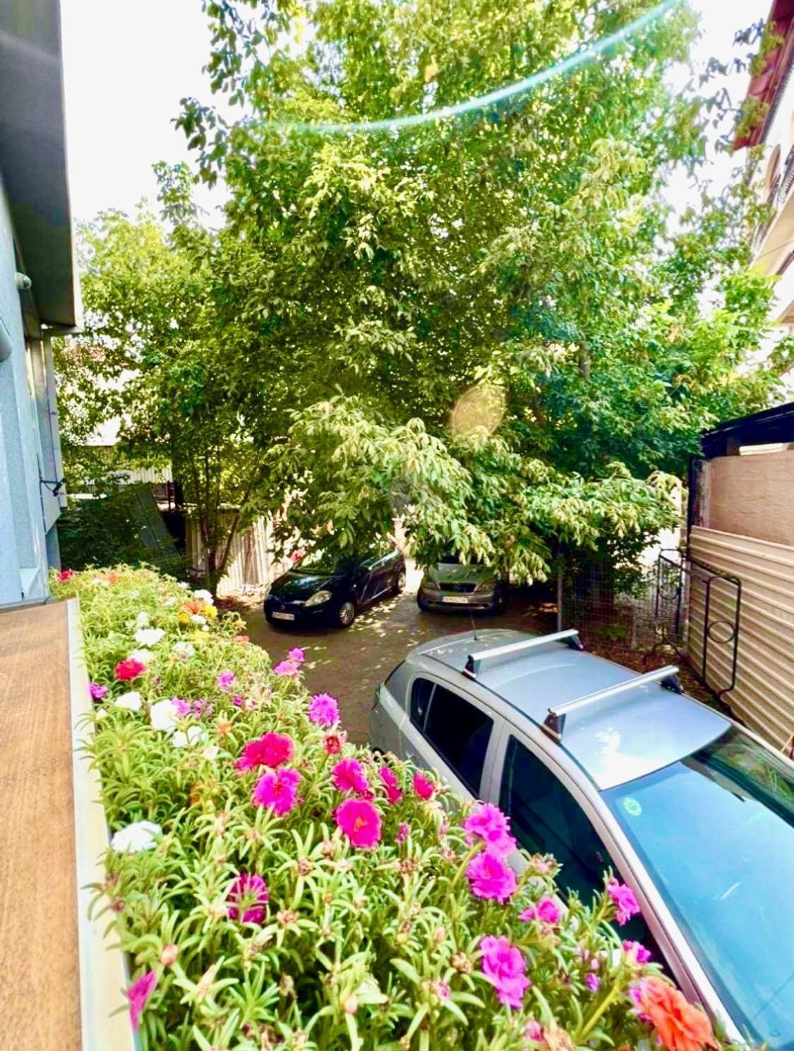 Lifestyle Gallery Apartment Skopie Exterior foto